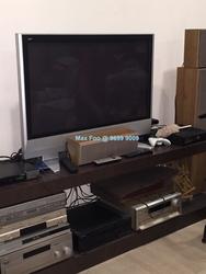 Palm Lodge (D14), Apartment #104689722